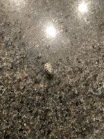 Pandora Charm