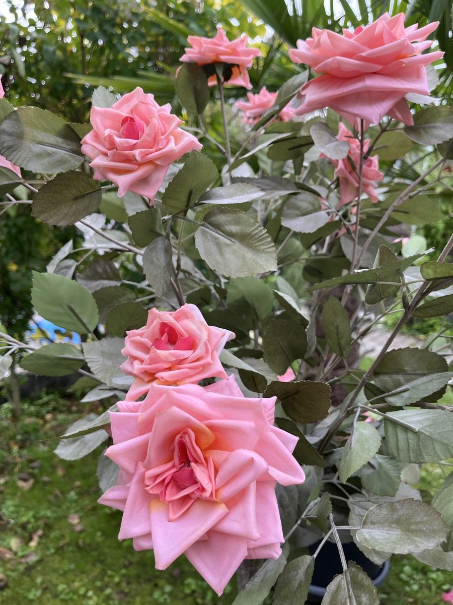 Alle Dekorationen: Rosenbaum Kunstbaum, rosa, 150cm – Gebraucht aus Bolligen von Vroni23 3