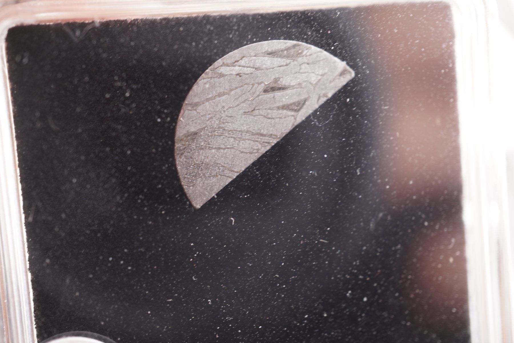 Minerali & Pietre curative: Eisenmeteorit Scheibe   Aletai    Ab 1.- – Nuovo e nell'imballaggio originale da Eschenbach SG venduto da topstone 7