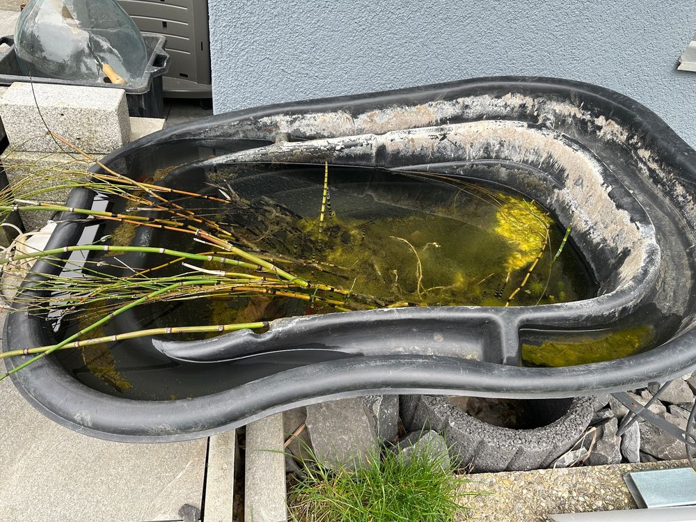 Gartenteich / Teichschale mit Pflanzen, Pumpe, Tiere Kaufen auf Ricardo