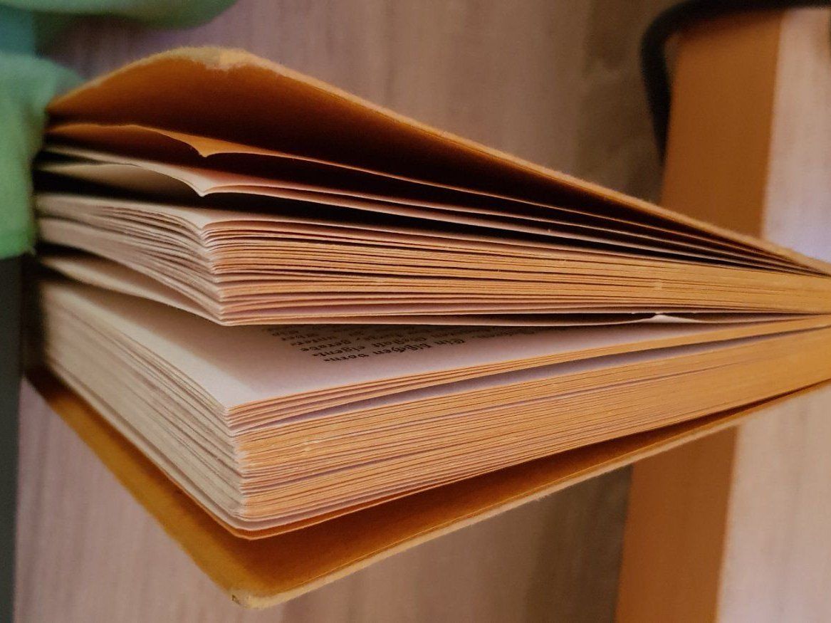 Bücher: Die Brüder Mörk – Gebraucht aus Uster von Astral 1