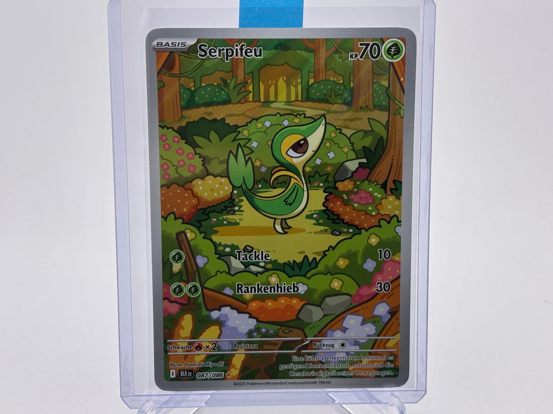 Pokémon Carte collezionabili: Schwarze Blitze - Serpifeu  (BLK 87) - DE – Nuovo (secondo la descrizione) da Allschwil venduto da Bullach