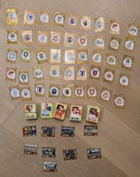 Panini Fussball Sticker WM 2026 ca. 500 Bilder