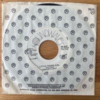 Harvey Campi - The Wonder Of You / US-Promo 1980