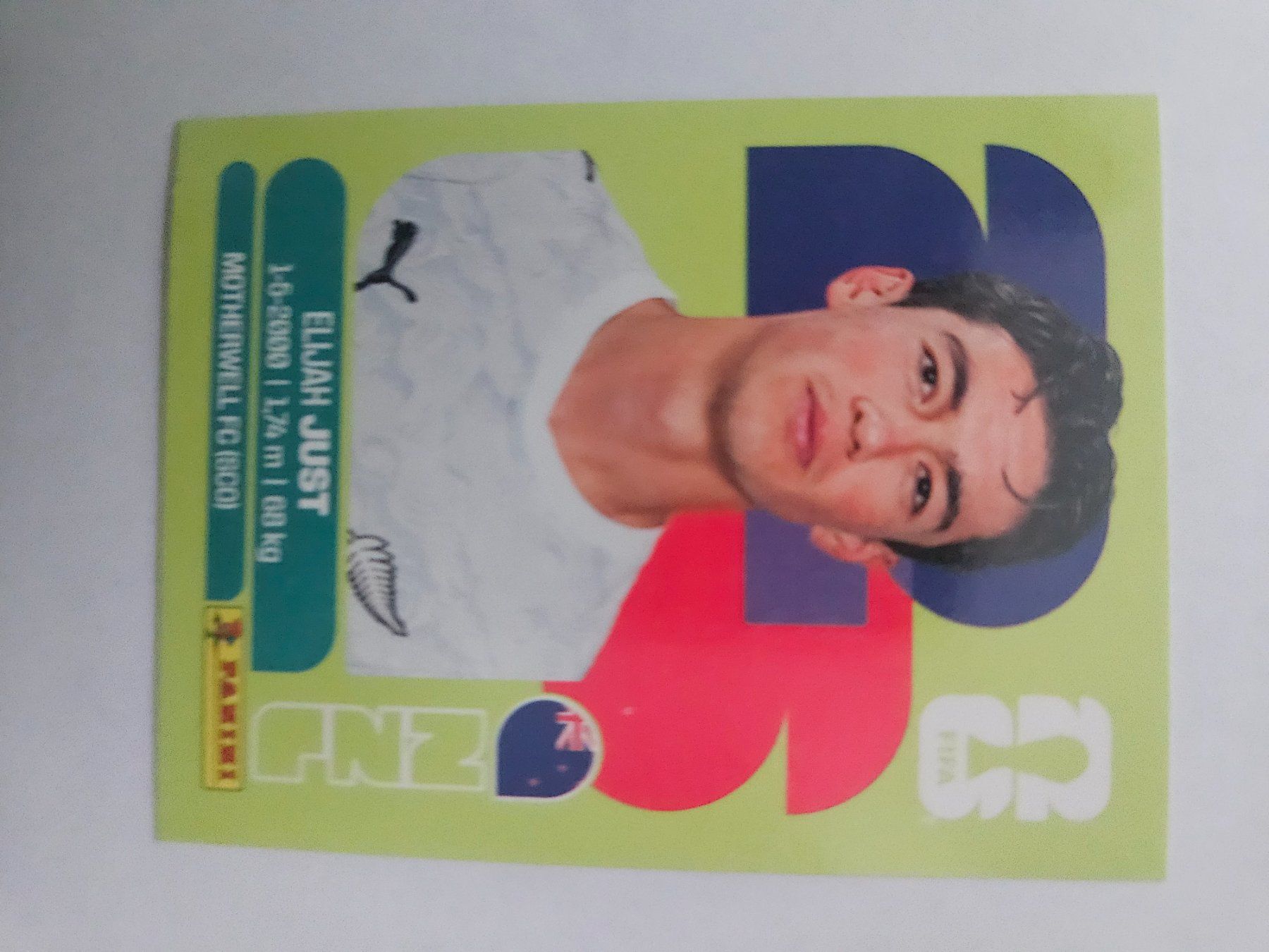 Panini Carte collezionabili: NZL 18 – Usato da Würenlingen venduto da Dinli