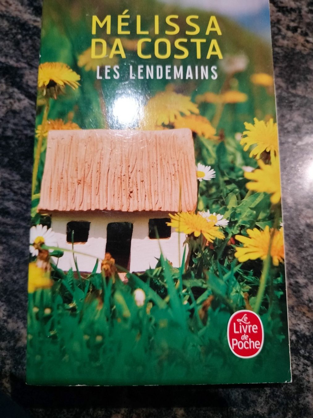 Libri: LES LENDEMAINS MÉLISSA DA COSTA – Usato da Cortaillod venduto da rozinna