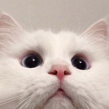 Profile image of Daisy345