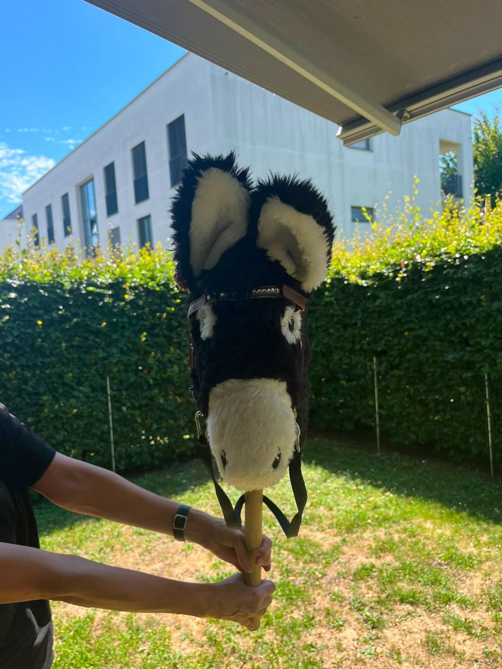 Spielzeuge: Hobby Horse - Esel – Gebraucht aus Nänikon von a.hugentobler 1