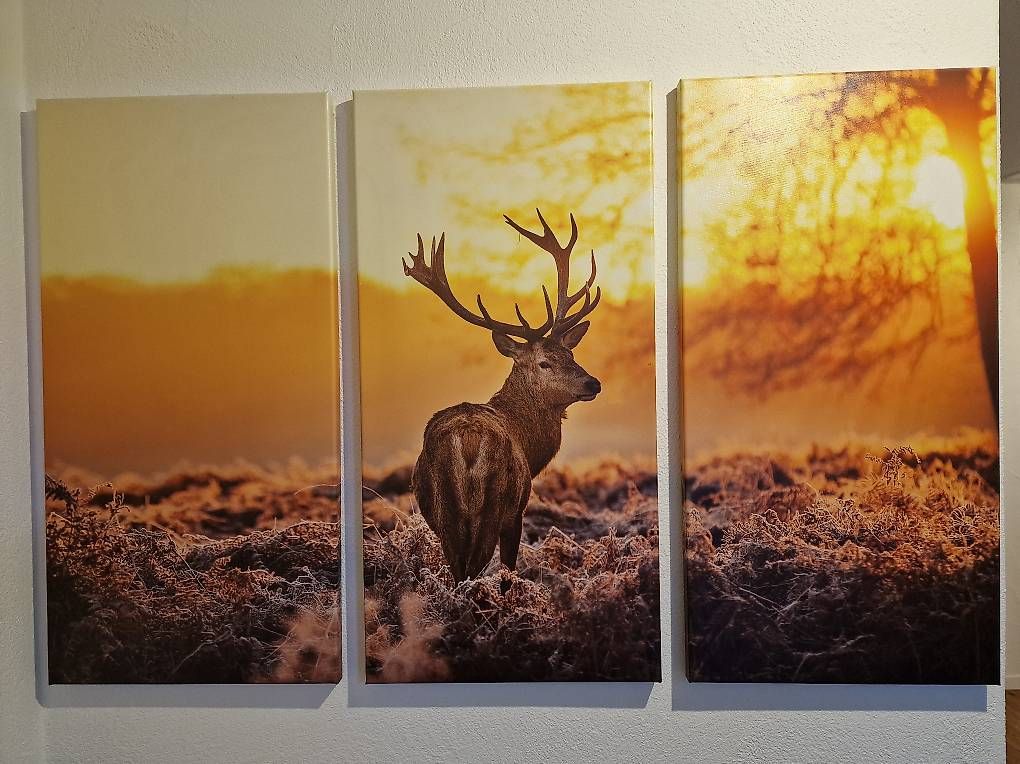 Poster & Bilder: Bilder, 3er-Set Hirsch – Gebraucht aus Feusisberg von CHerMuus