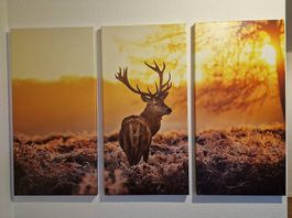 Bilder, 3er-Set Hirsch