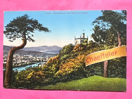 31039 Sälischlössli mit Blick auf Olten