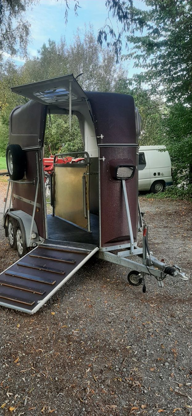 Thiel Anhänger: Pferdeanhänger Thiel TF4 – Gebraucht aus Schachen LU von Bergfreund123 1