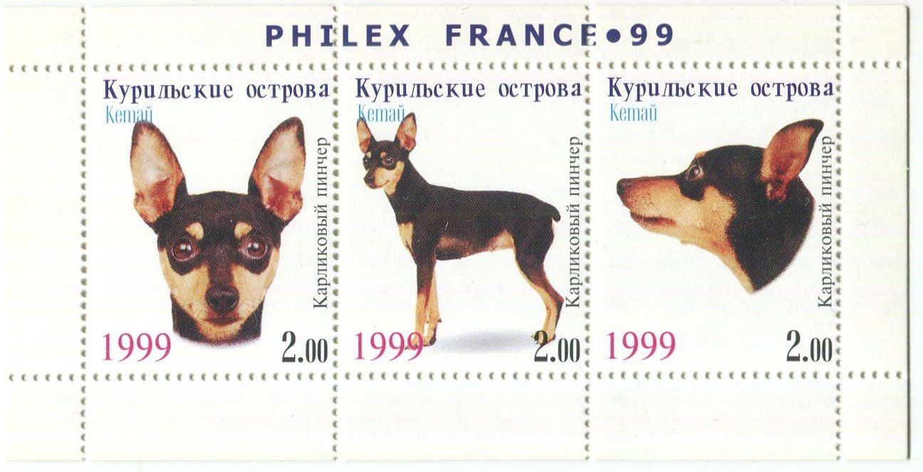 Tous les timbres: Block "Zwergpinscher". Kurilen. – Neuf avec emballage d'origine à Basel par Butsch5