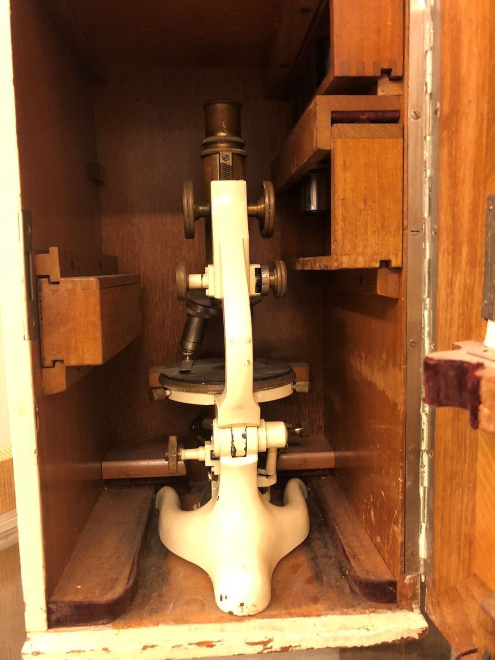 Microscopes: Mikroskop – D'occasion à Wiedlisbach par Chips02 1