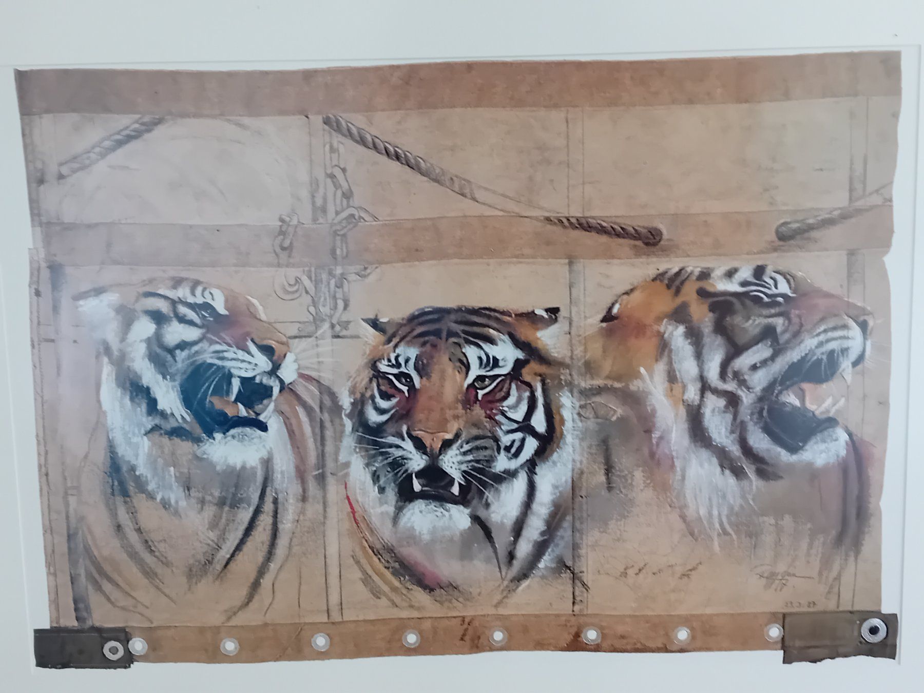 Poster & Bilder: Tiger – Gebraucht aus Stein AG von tom-woody 3