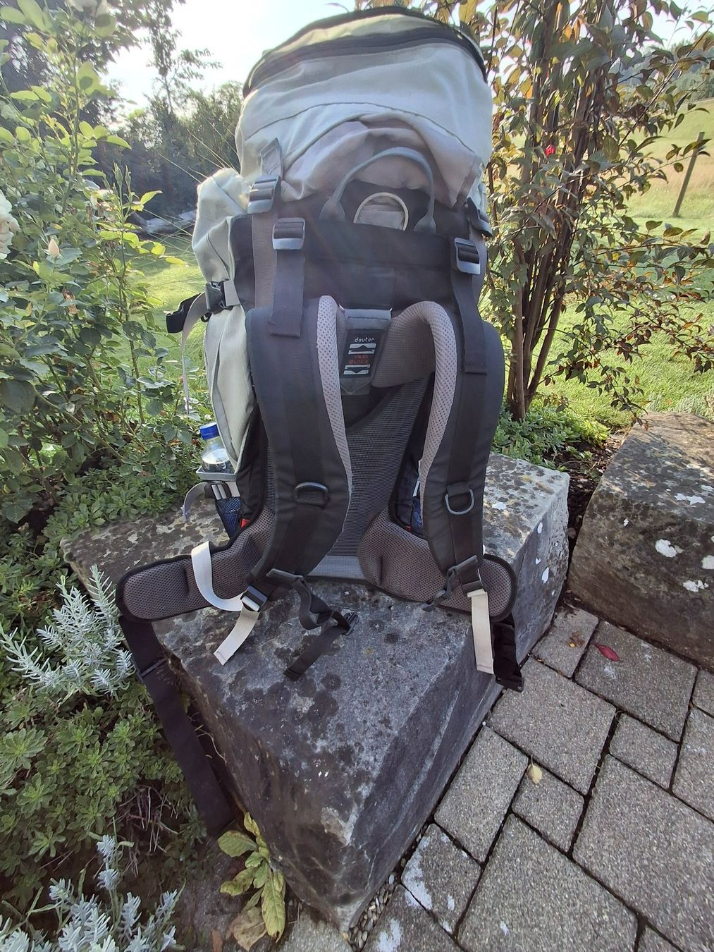 Deuter Zaini: Deuter Wanderrucksack – Usato da Oppikon venduto da onlycheese 3