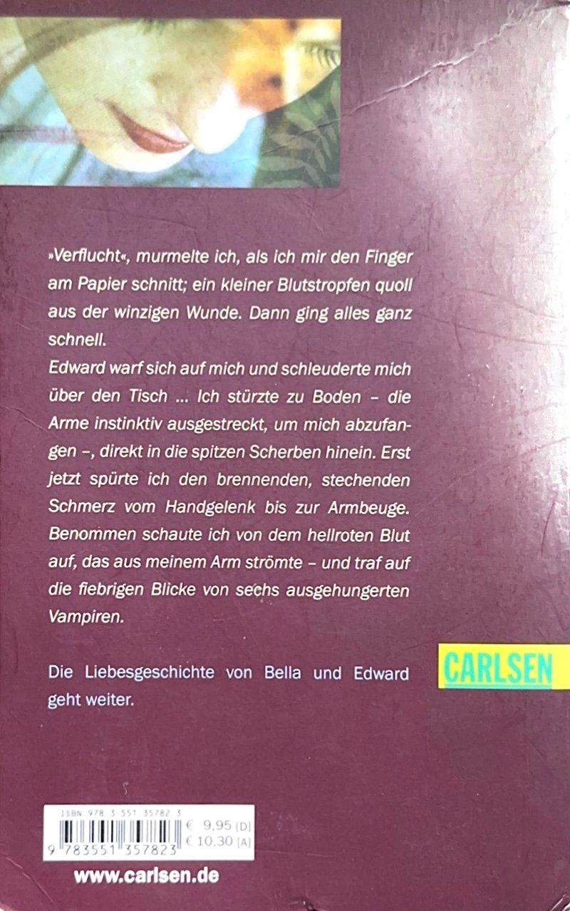 Livres: Biss zur Mittagsstunde – D'occasion à Fällanden par LittleMagic 1