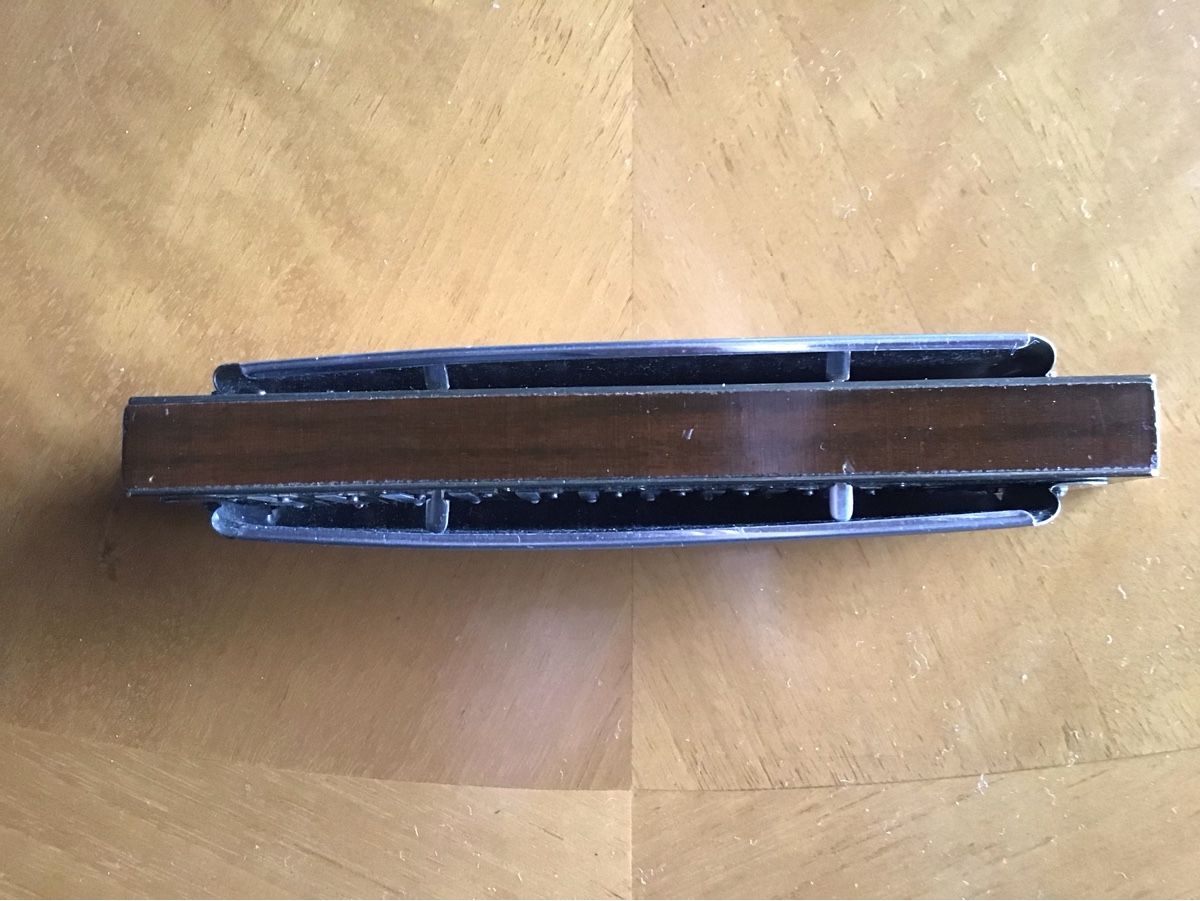 Hohner Strumenti musicali: HOHNER CHROMONIKA 270 – Nuovo (secondo la descrizione) da Kriens venduto da Helveticus38 4