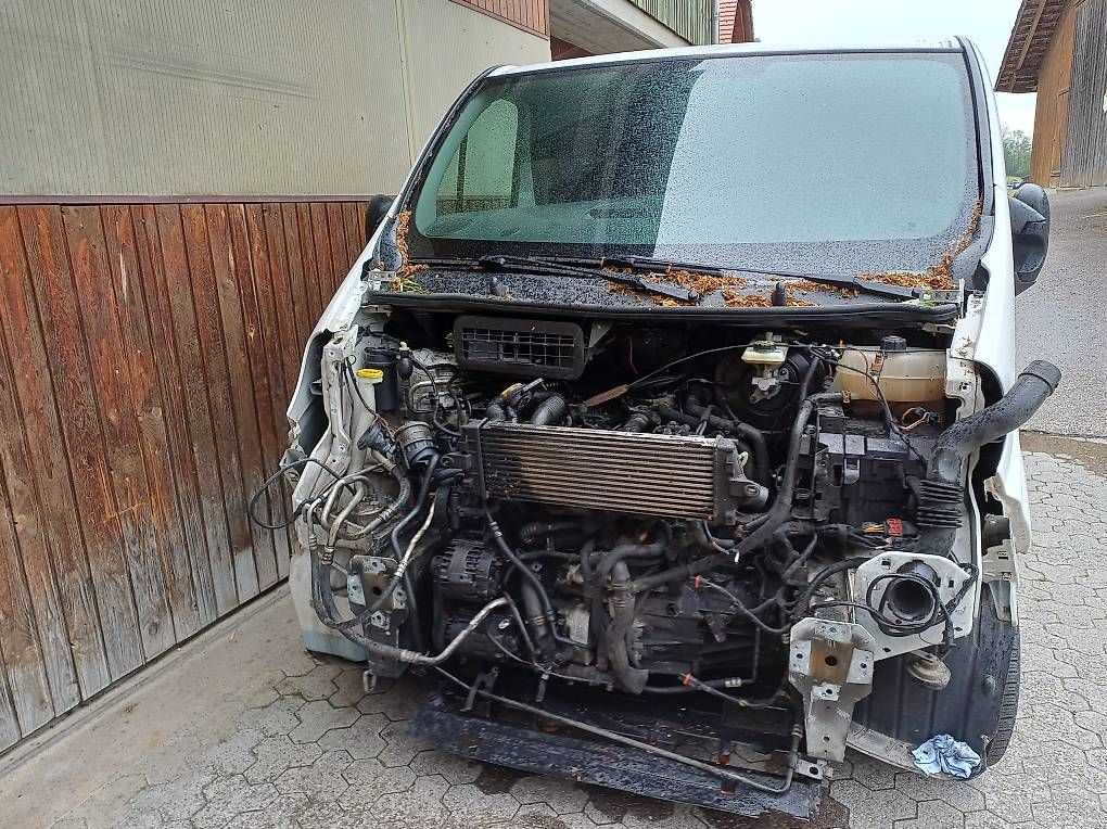 Renault Autos: Renault Trafic T29 dCi 115 Ersatzteilspender – Gebraucht aus Rohrmatt von PB6130 1