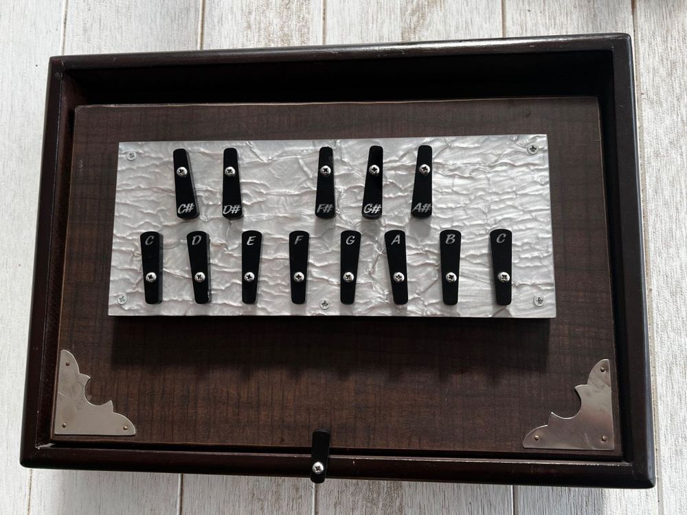 Shruti Box chromatisch C3C4 Kaufen auf Ricardo