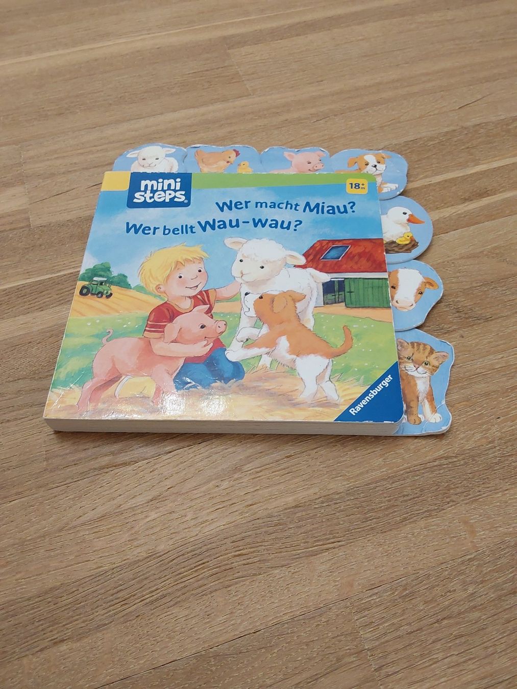 Bücher: Kinder Bücher – Gebraucht aus Wallisellen von Wallisellen77 5