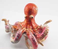 Dose, Octopus, Tintenfisch
