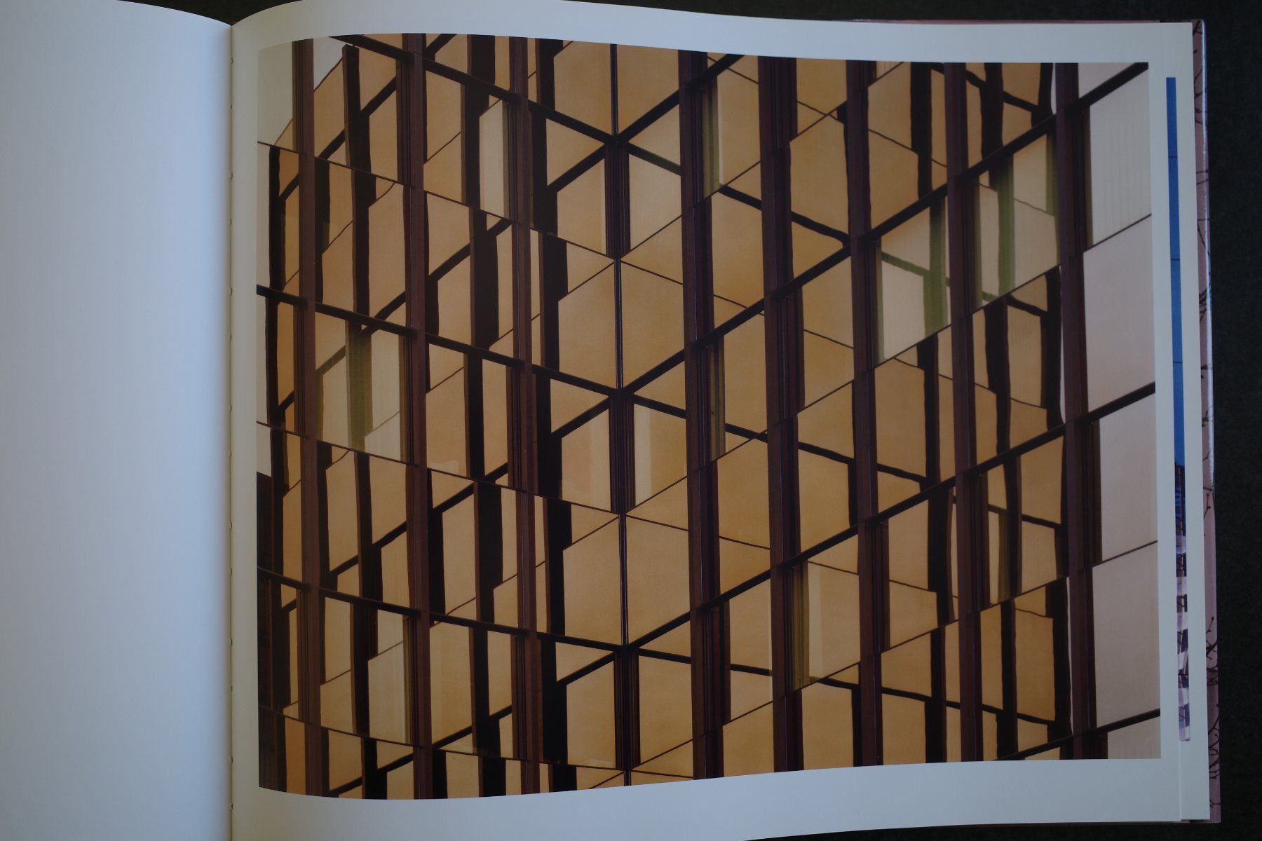 Libri: Ola Kolehmainen – Usato da Zürich venduto da ForMat21 7