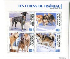 Block "Siberian Husky, Alaskan Malamute, Grönlandhund". Togo