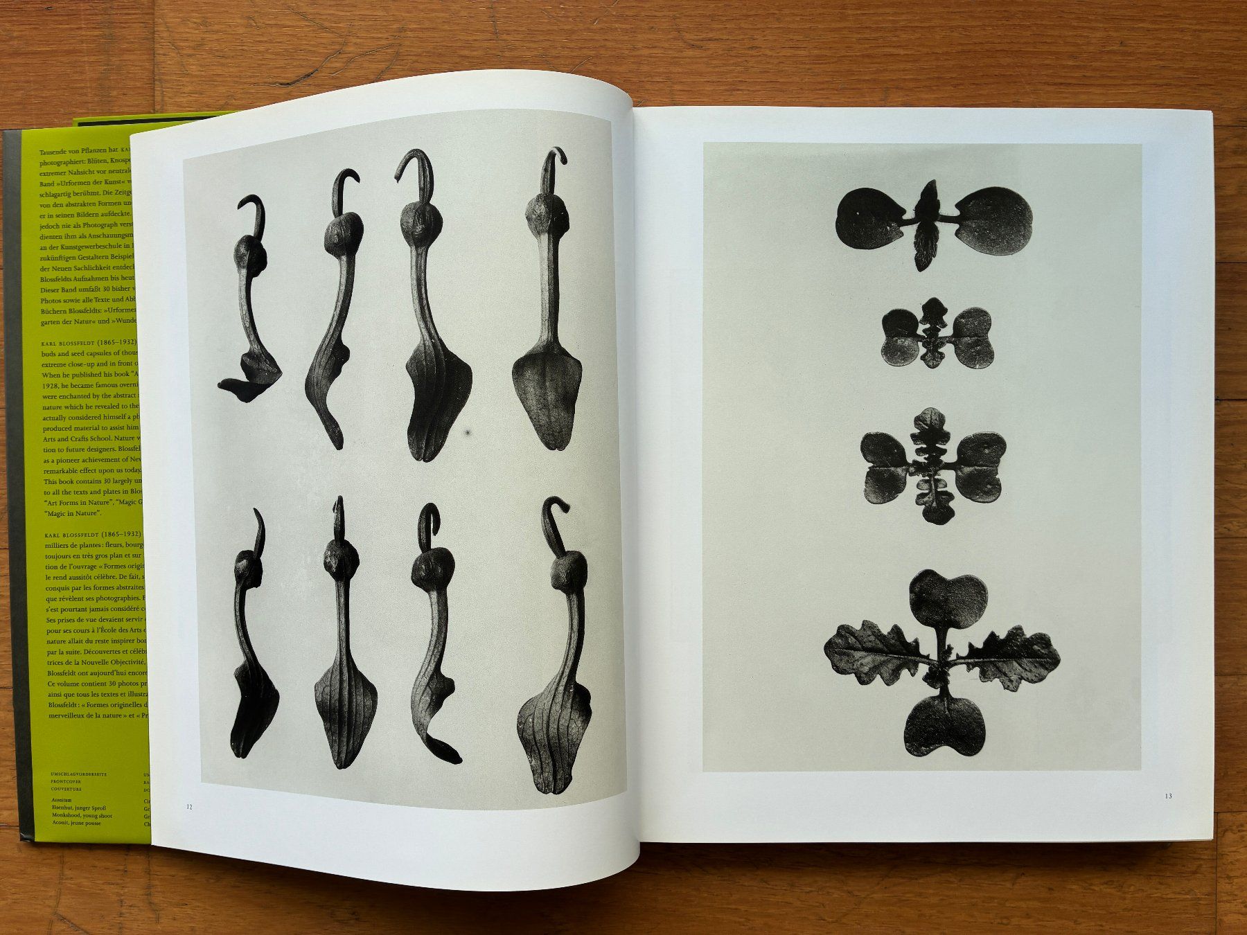Libri: Photo Buch: KARL BLOSSFELDT – Usato da Lugano venduto da gio.yo 2