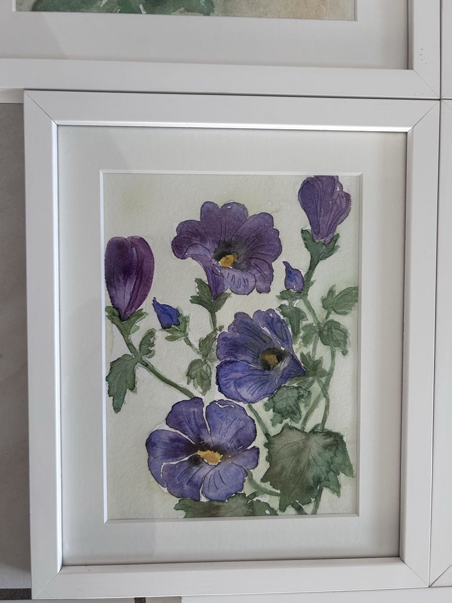 Dipinti: 5 Aquarellbilder / Malerei Blumen – Usato da Solothurn venduto da dbmd333 1