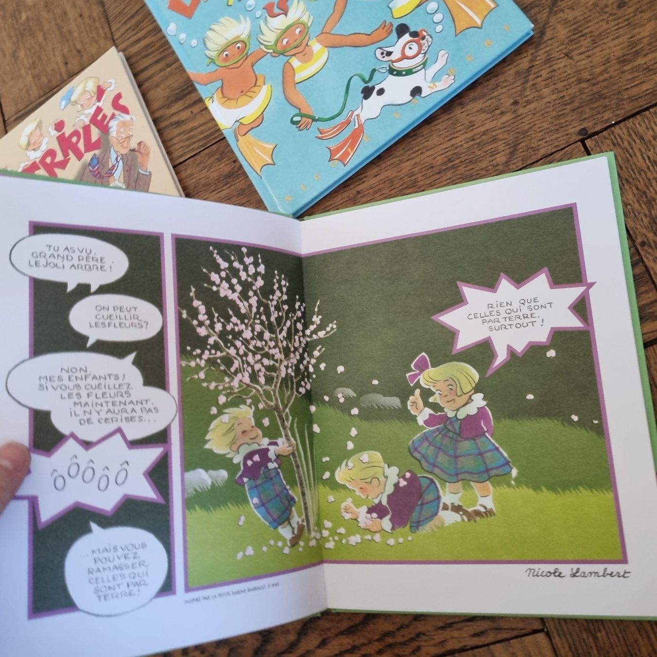 Comics: 3 BD Les Triplés – Gebraucht aus Fribourg von jarmilka 2