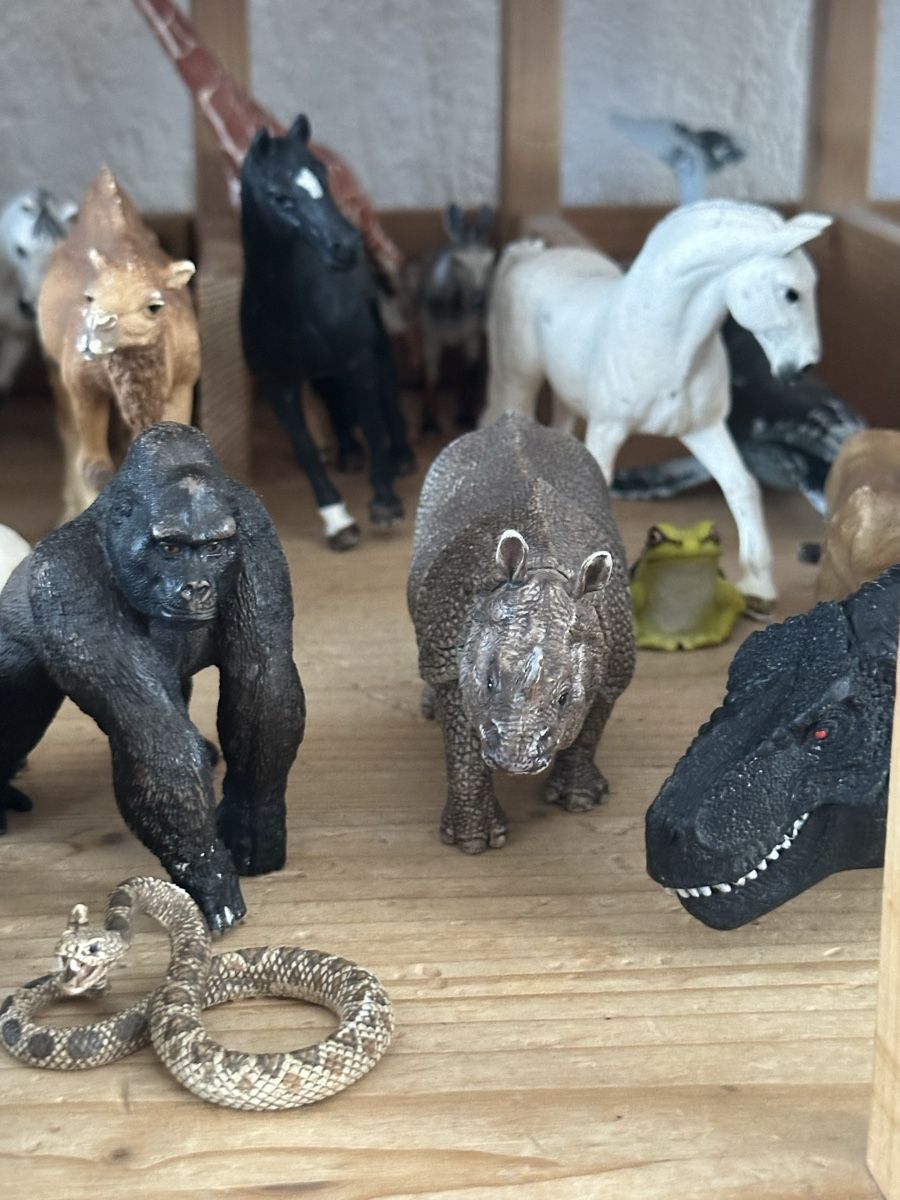 Schleich Giocattoli: 65 schleich Tiere mit Holzhaus – Usato da Wettingen venduto da hak_52m8 7