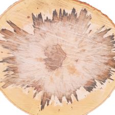 Profile image of holzbaron