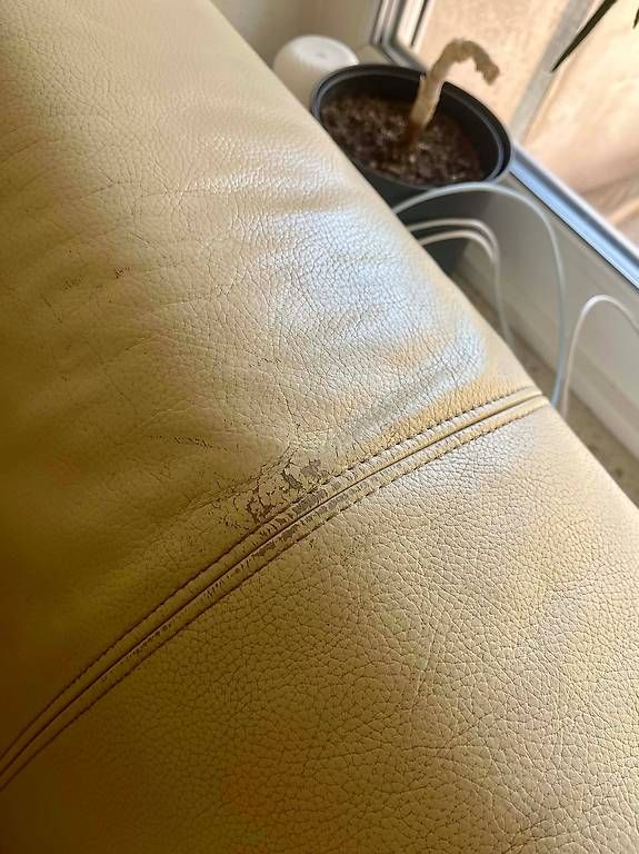Rolf Benz Sofas: Ledersofa von Rolf Benz, 2-Sitzer – D'occasion à Allschwil par pa.die 2