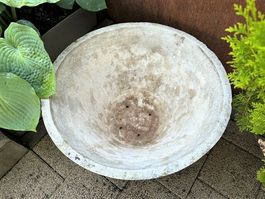PfLaNztRog