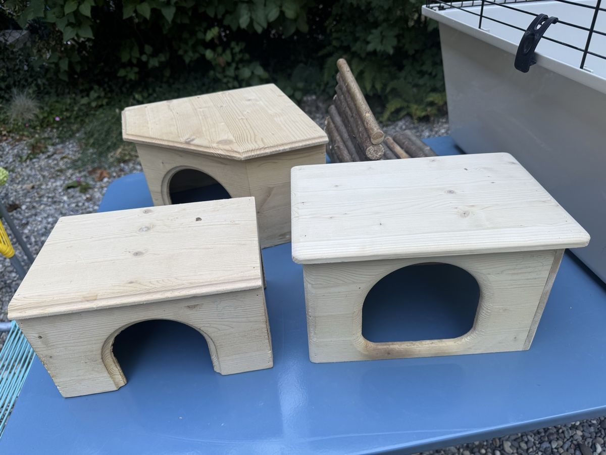 Gabbie, trasporto & Sicurezza: Meerschweinchenstall – Usato da Basel venduto da Ducati620 4
