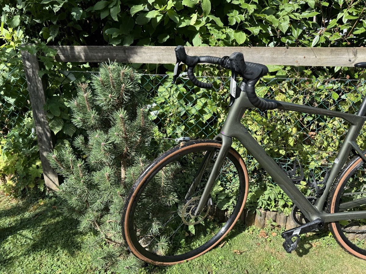 BMC Biciclette: BMC Roadmachine X Three  – Usato da Oberdorf SO venduto da robxjo 2