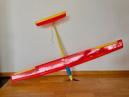 Kleiner Elektrosegler