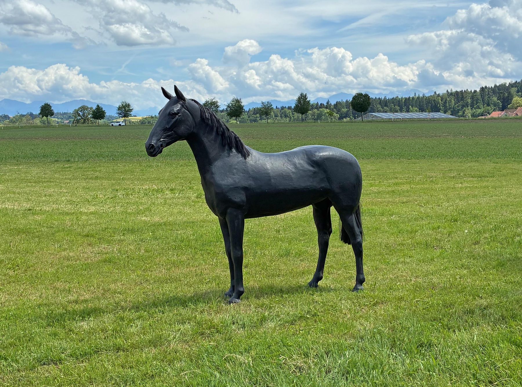 Statuette: Schwarzes Pferd Lebensgross – Usato da Bäretswil venduto da robsonantik 8