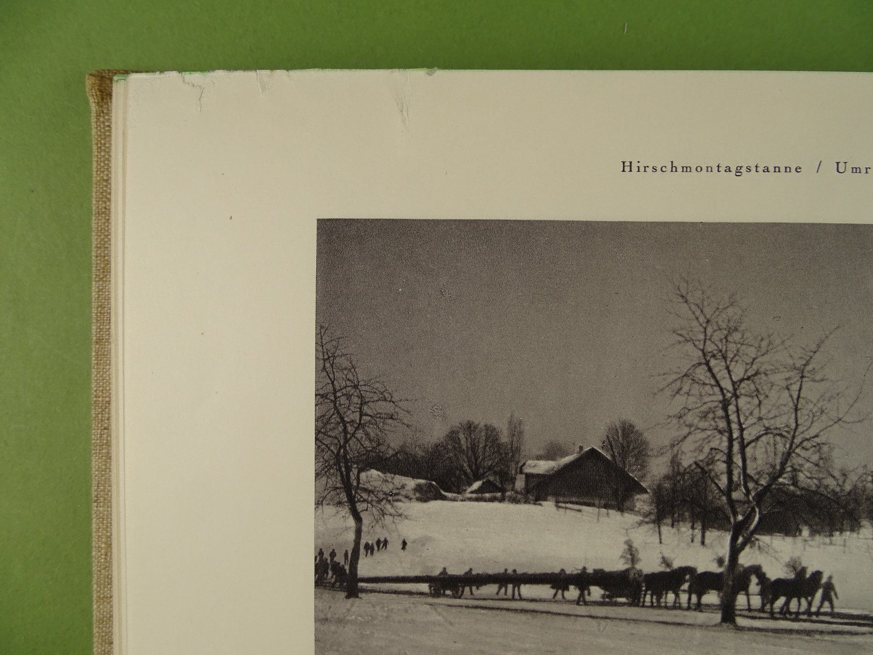 Libri: SCHWEIZER VOLKSLEBEN, 2 BÄNDE KOMPLETT – Usato da Grüningen venduto da Kartensammler 9