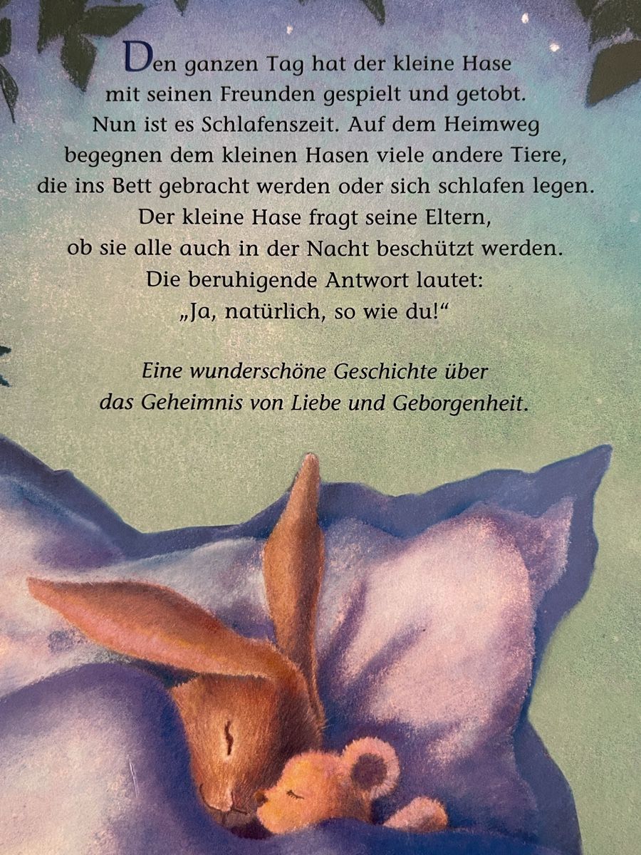 Libri: Kinderbuch: Sei beschützt dein ganzes Leben, top – Usato da Wolhusen venduto da eve_m6cg 2
