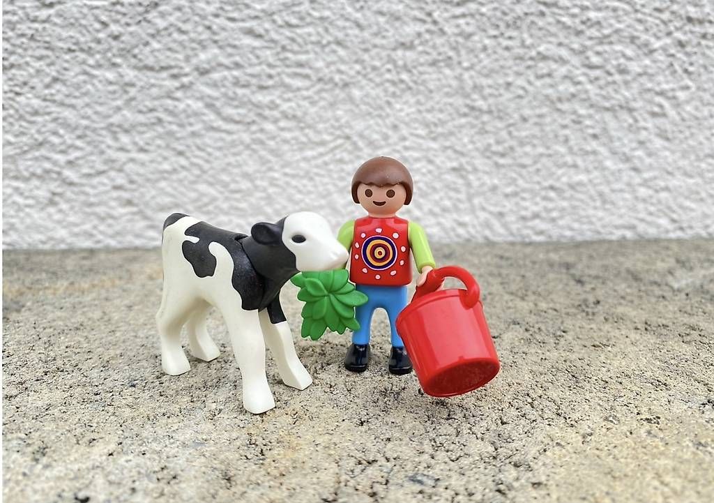 Jouets: Playmobil Junge mit Kuh – D'occasion à Sarnen par Sejosa15
