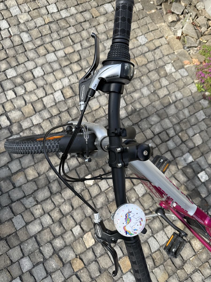 Crosswave Biciclette: 20” Crosswave velo  – Usato da Meggen venduto da Petra-Arte 1