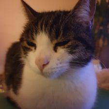 Profile image of _Nick_