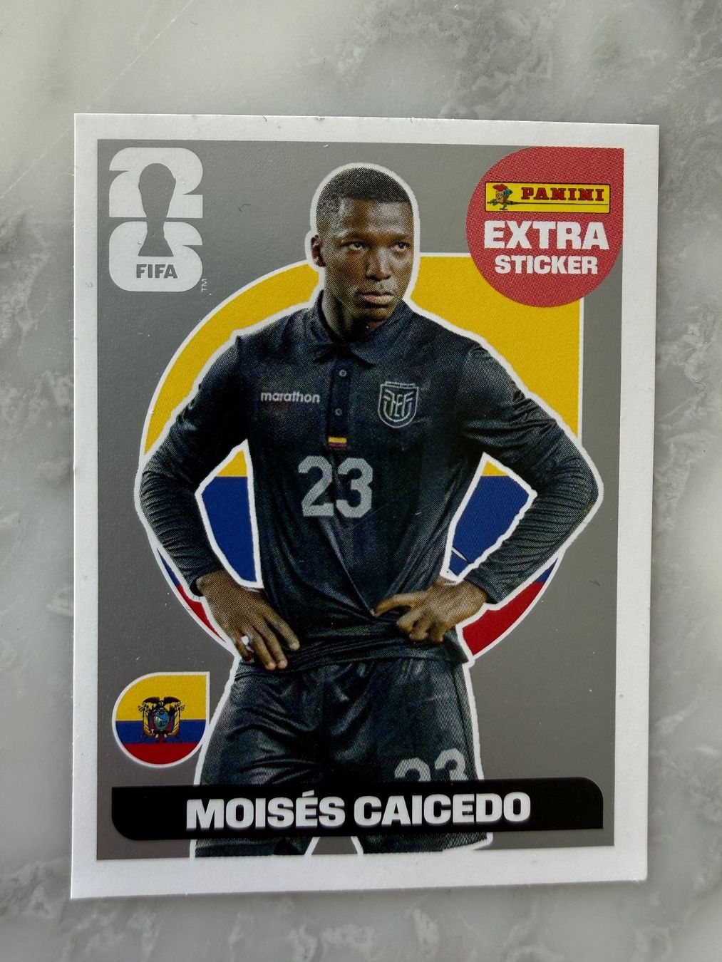 Panini Carte collezionabili: Panini Moises Caicedo silber und Vinicius Junior – Nuovo (secondo la descrizione) da St. Moritz venduto da brauchenplatz 2