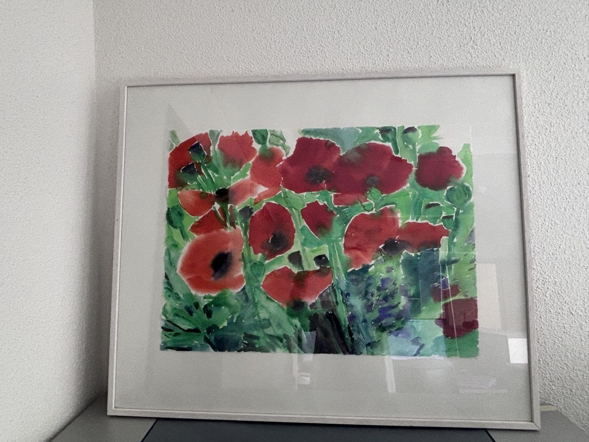 Foto & Immagini: Original Aquarell Bild Mohnblumen – Usato da Kriens venduto da Aegge01
