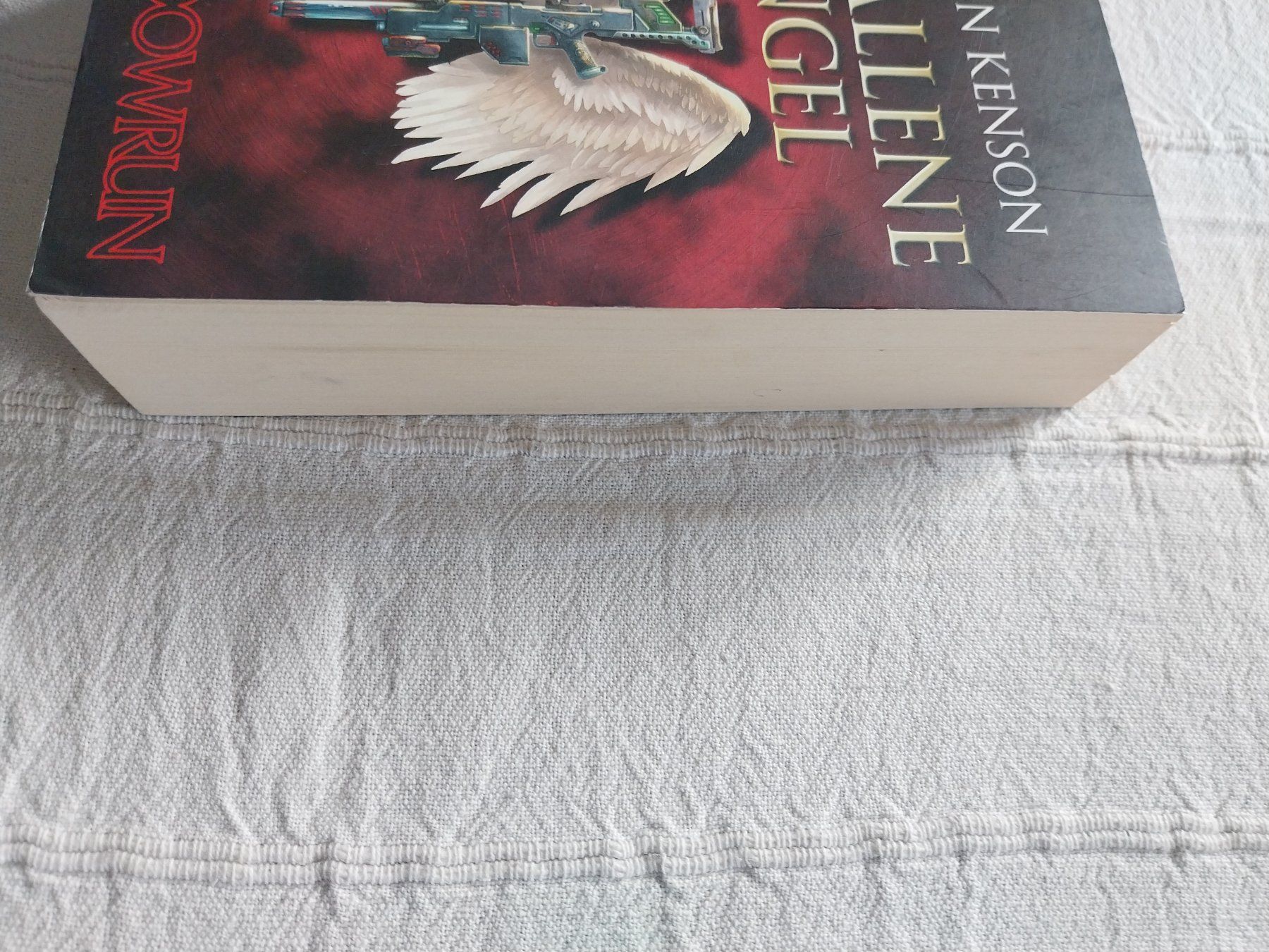 Libri: Gefallene Engel Stephen Kenson – Usato da Schwaderloch venduto da bademeister79 2