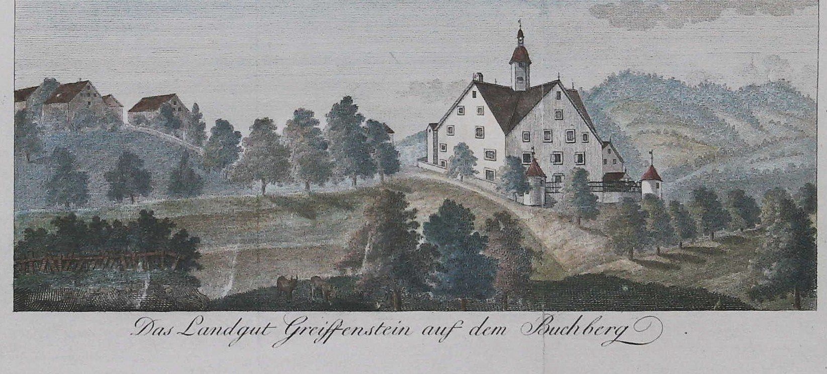 Incisioni: Greifenstein Rheintal von Sulzberger 1805 – Usato da Rafz venduto da Helvet32 1