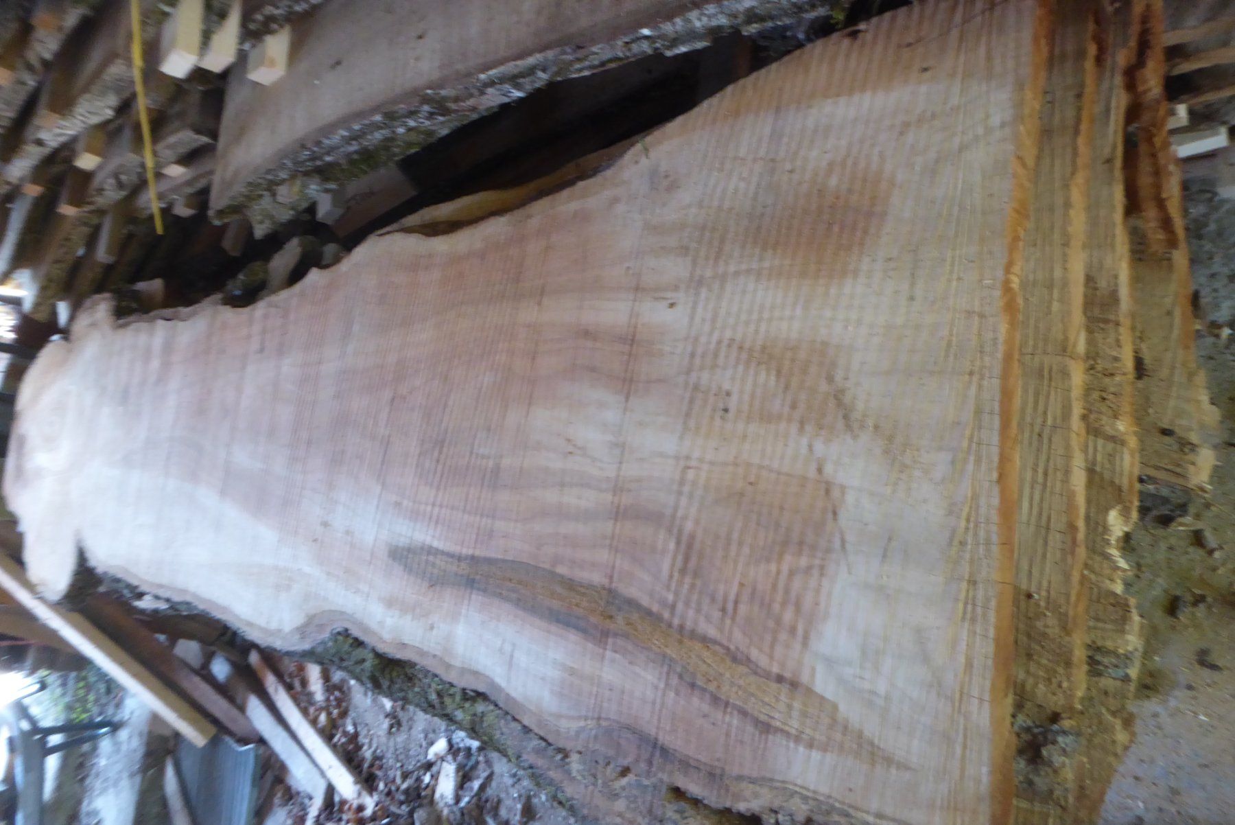 Articoli in legno: Kirschbaumbretter 30 mm – Nuovo (secondo la descrizione) da Sumiswald venduto da Hennri1 5