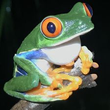 Profile image of Mauslo